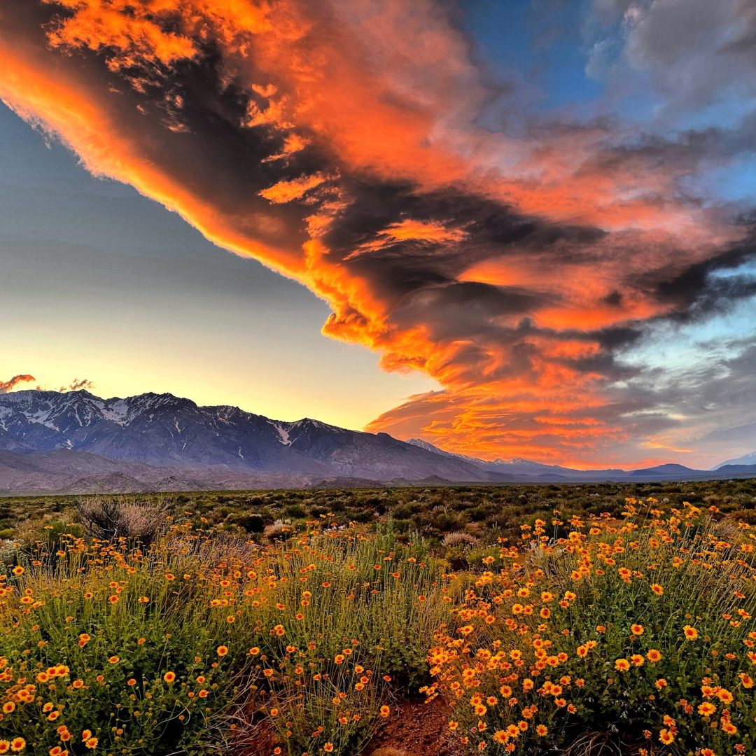 115_Inyo_LauralynHundley